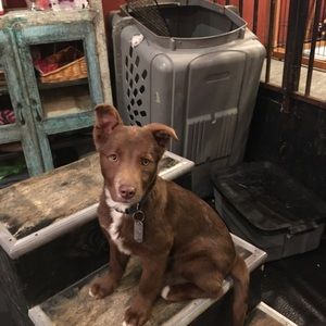 Meet your Posher, Cecile