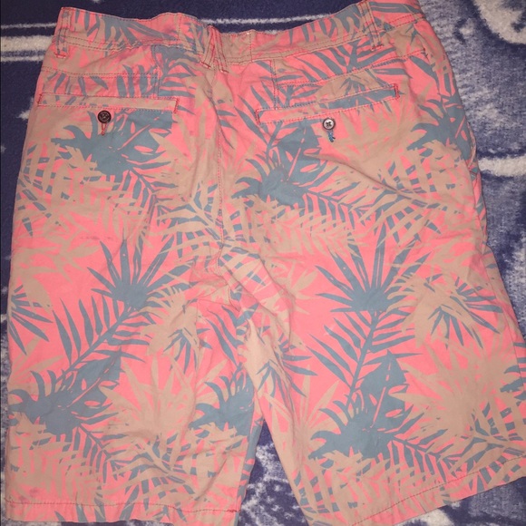 Tropical Shorts - Picture 2 of 2