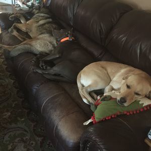 Meet your Posher, Nancy