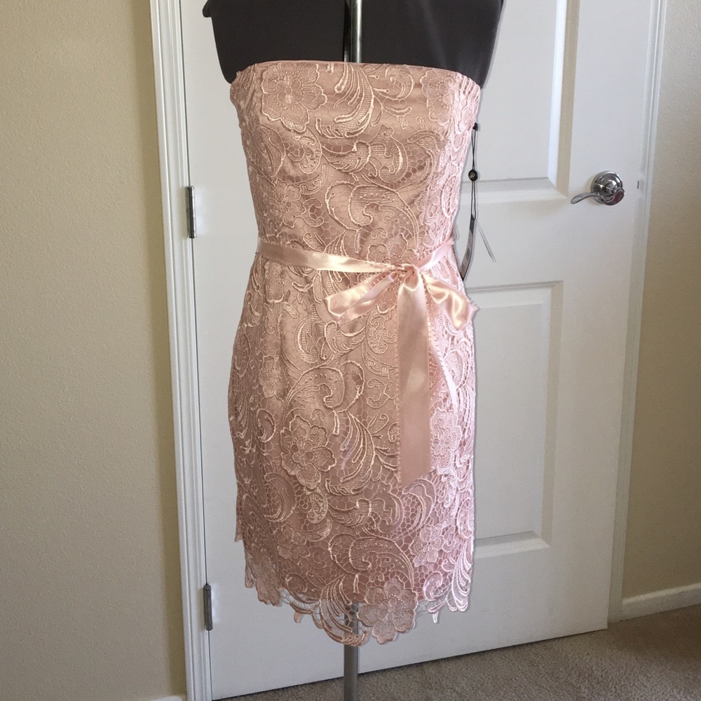 Adrianna Papell Straless Lace Sheath Dress Sz 10