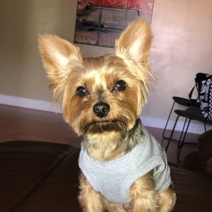 Meet your Posher, Dana