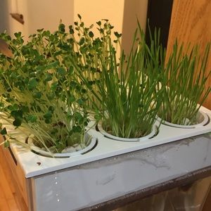 Meet your Posher, Niko