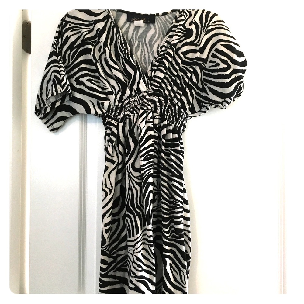 Francesca's Blue Rain Zebra Dress