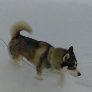 Meet your Posher, Kyle