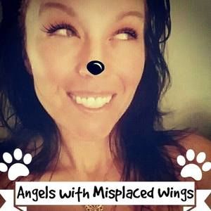 Meet your Posher, Tamala