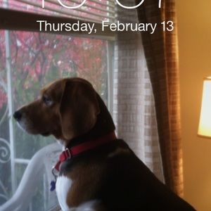 Meet your Posher, Jannis