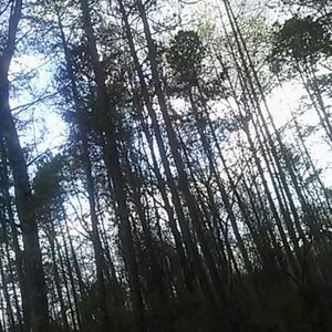 Meet your Posher, Clay