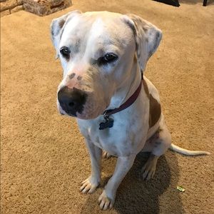 Meet your Posher, Riley