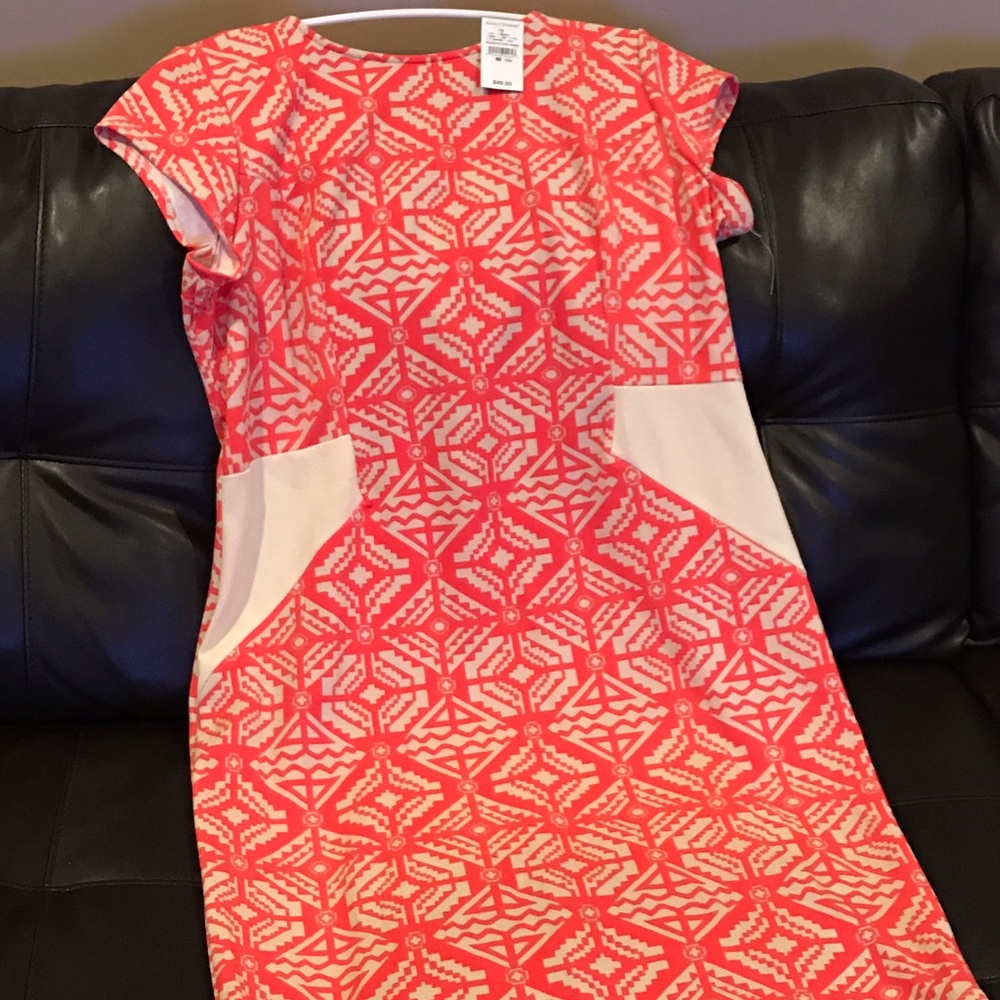 Ashley Stewart print dress