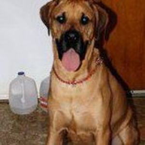 Meet your Posher, Maria