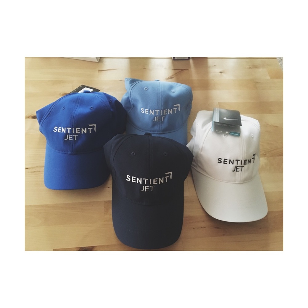 🙀ONLY 3 LEFT🙀 {nike} dry fit hat