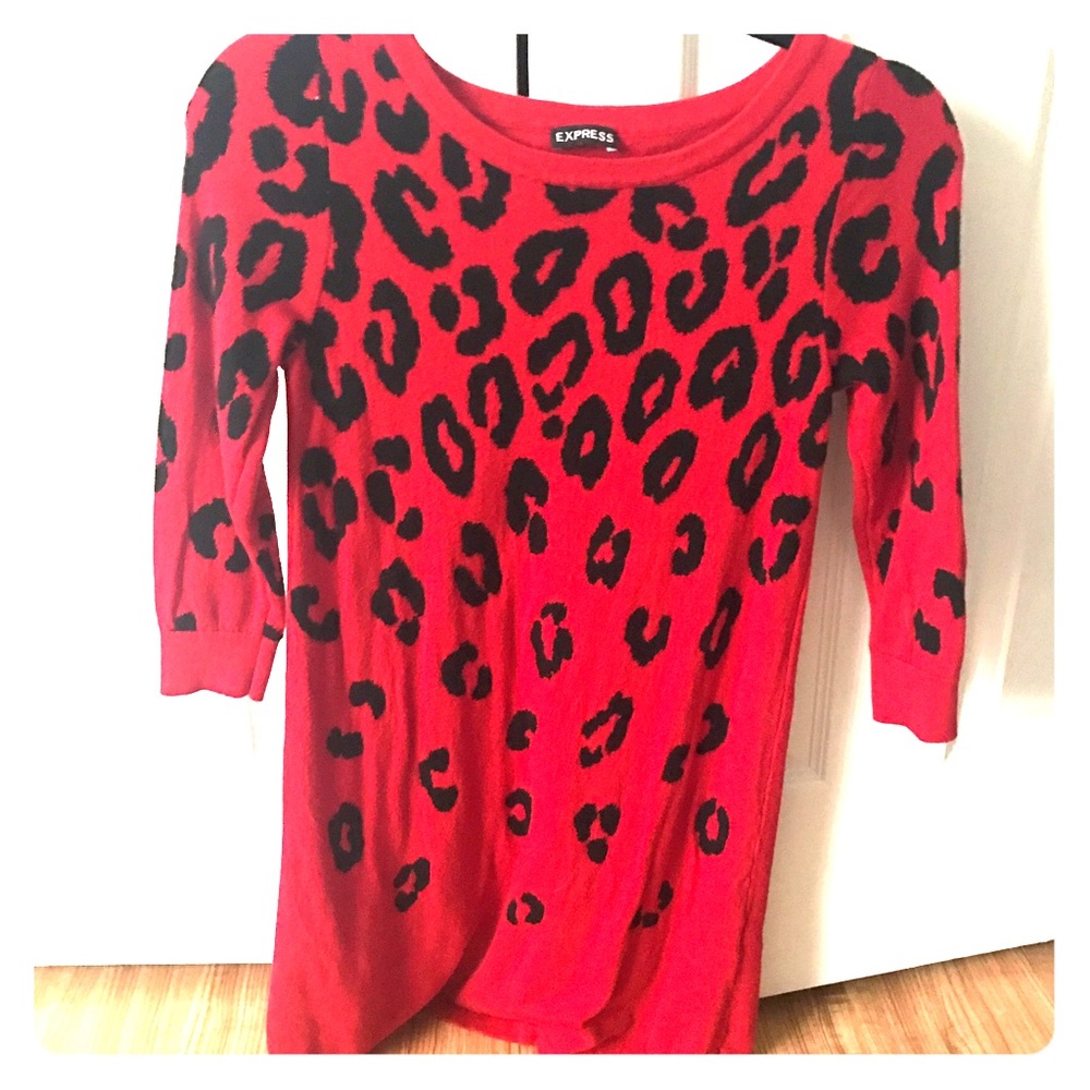 Express Red Dress