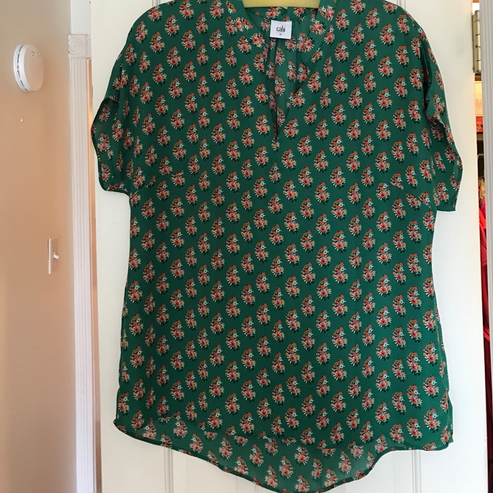 CAbi top