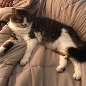 Meet your Posher, Roxanne