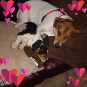 Meet your Posher, April