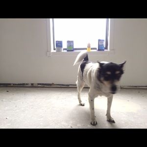 Meet your Posher, Lucy