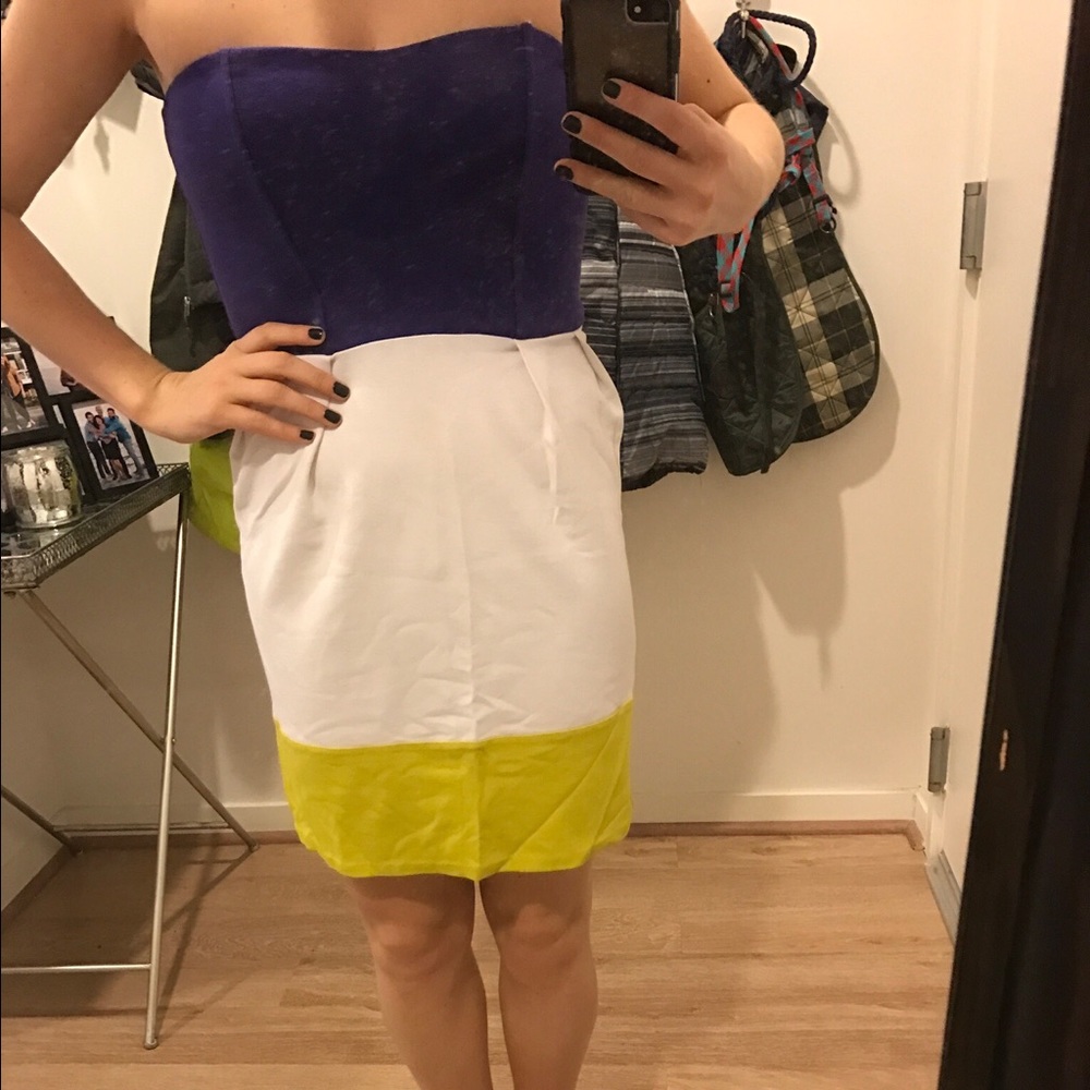 Zara Dress