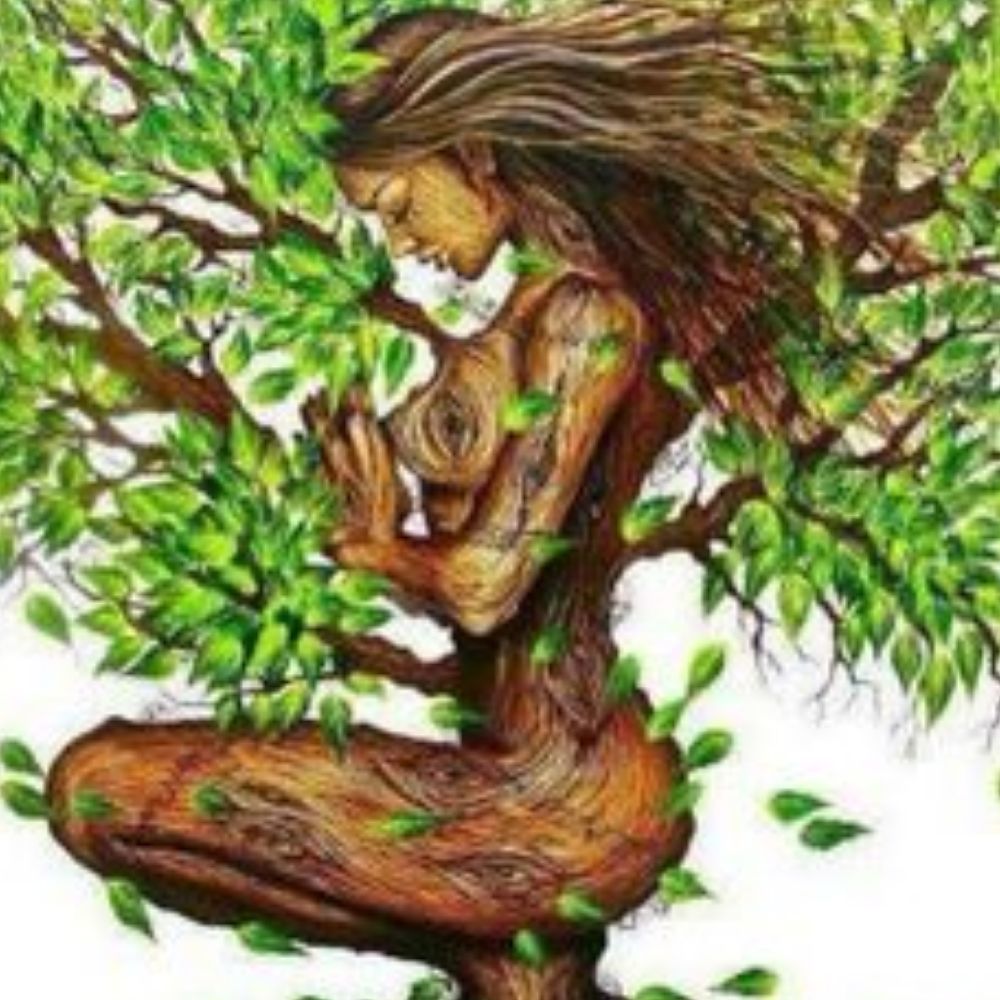 Meet your Posher, Mona lisa