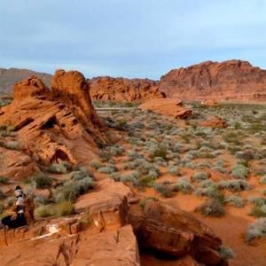 Meet your Posher, Lily