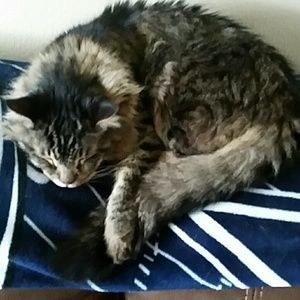 Meet your Posher, Vicki