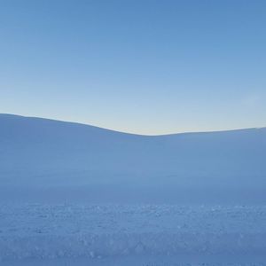 Meet your Posher, Heidi