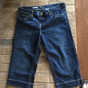 Kit from the Kloth Crop Sz 14 Denim