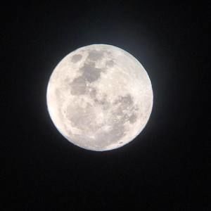 Meet your Posher, Chloe