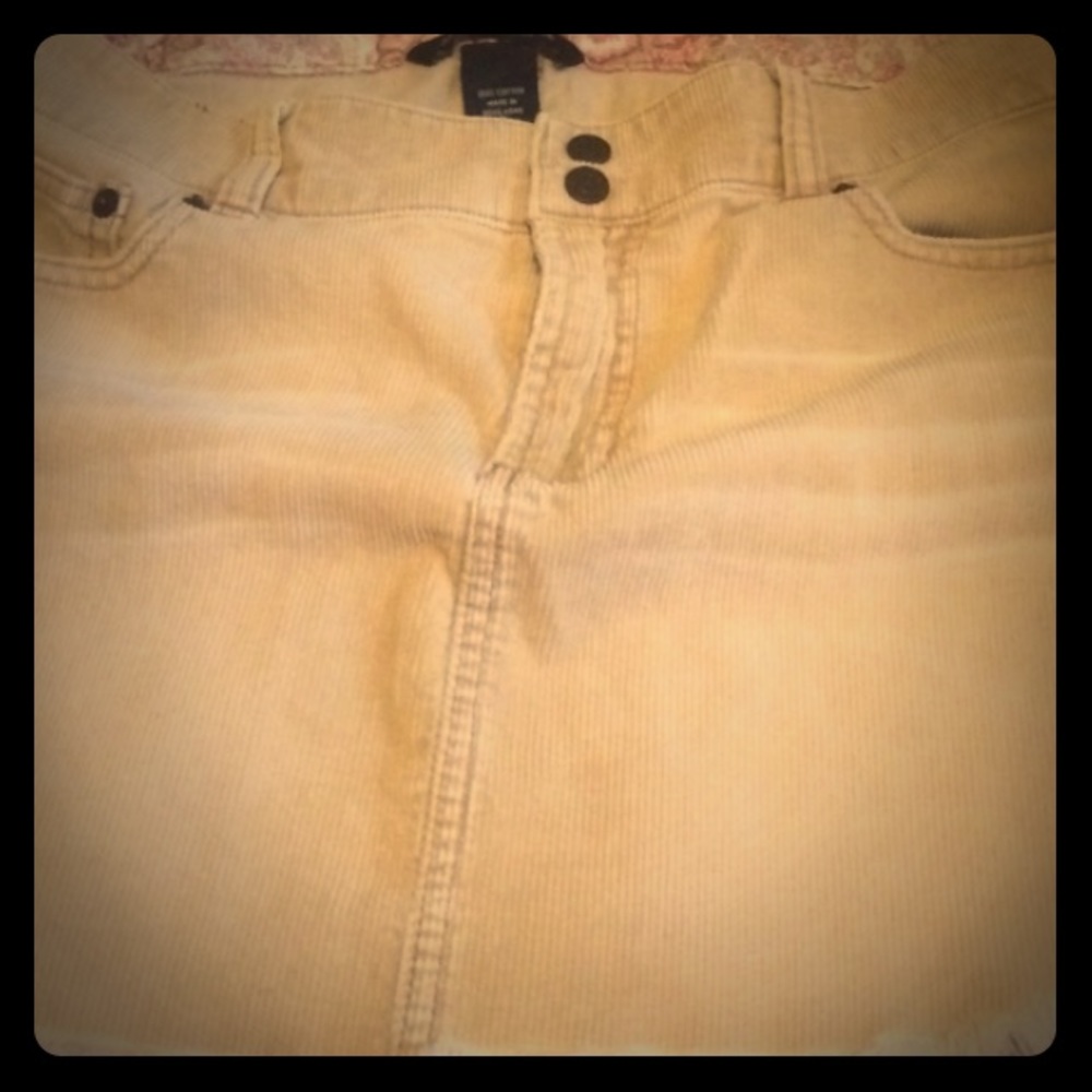 Ambercrombie and Fitch Skirt