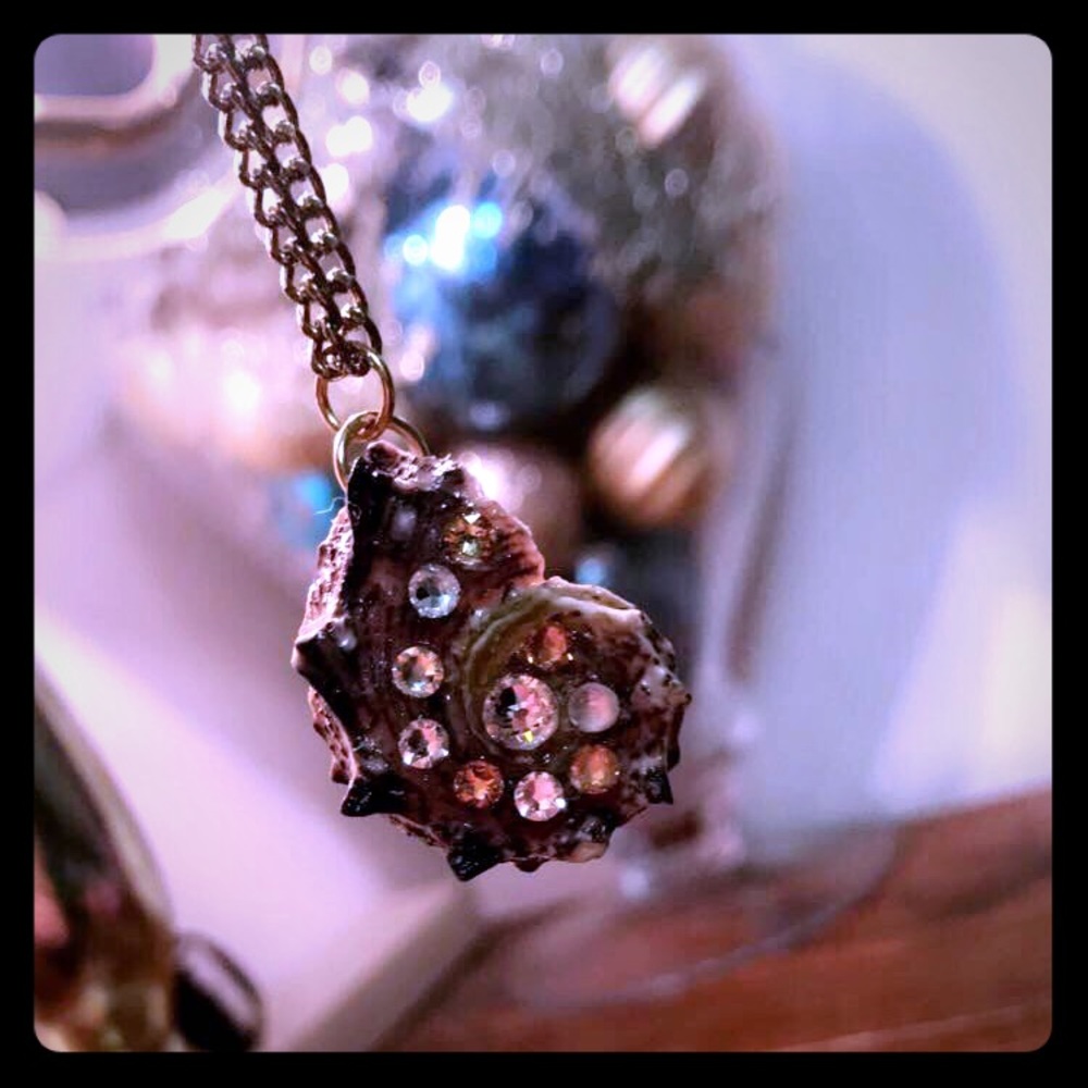 Handmade seashell necklace