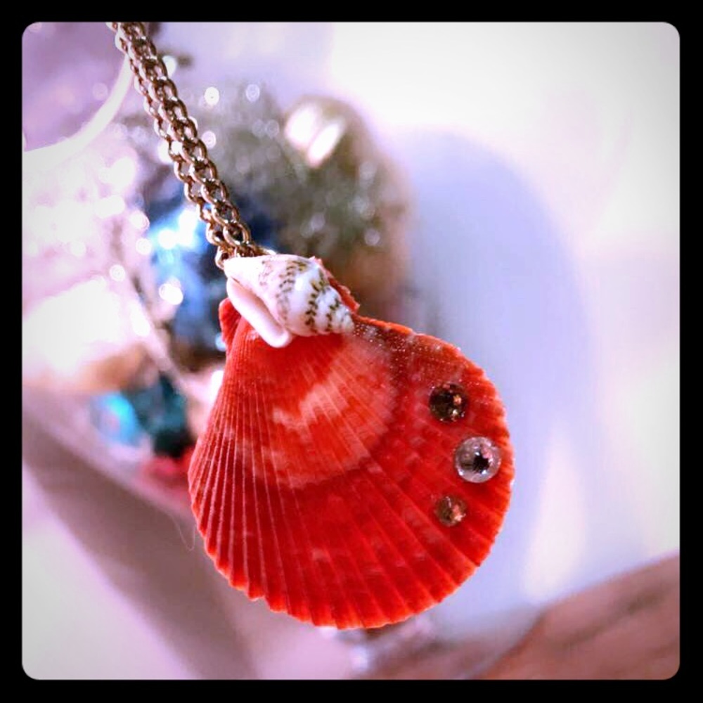 Handmade seashell necklace