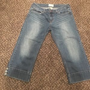 Maurice's premium Capri