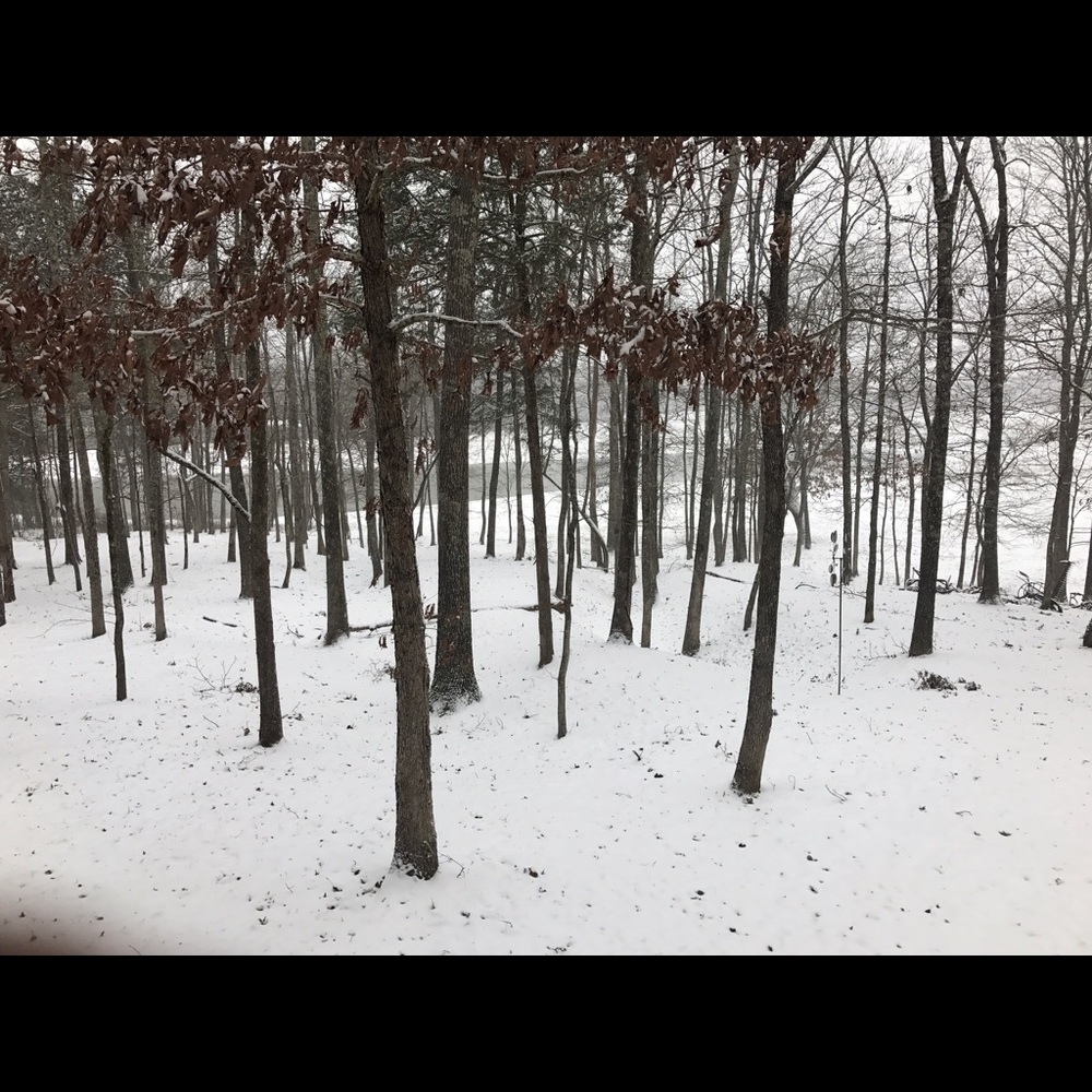 Meet your Posher, Frank