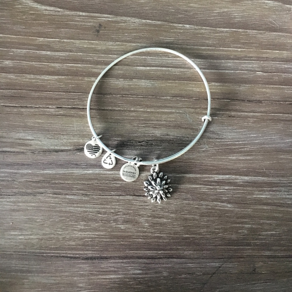 Alex & Ani bracelet