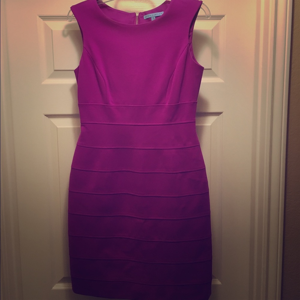 Antonio Melani dress (4)