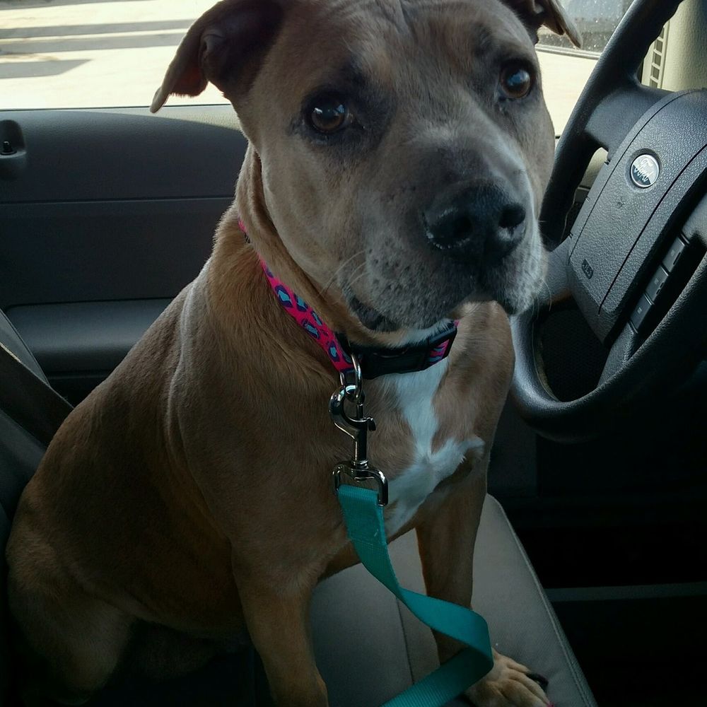 Meet your Posher, Amanda