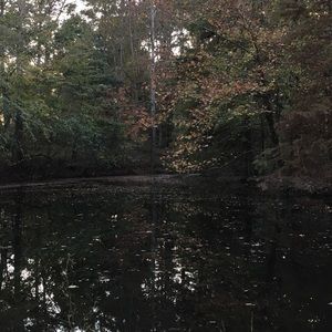 Meet your Posher, Reagan