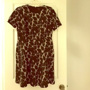 Ann Taylor Dress
