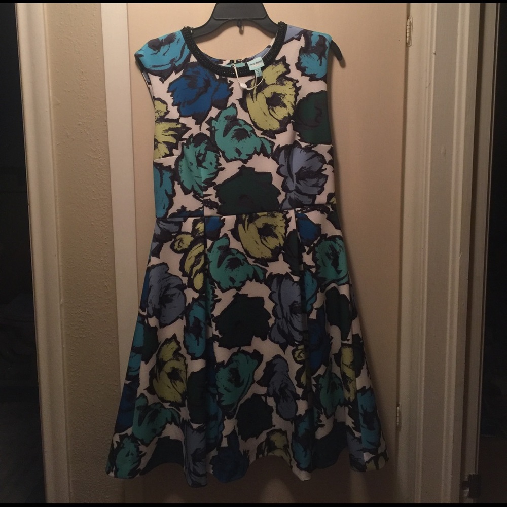 Beautiful dress.  Great for spring events.