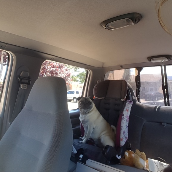 Meet your Posher, Lorraine - Picture 3 of 6