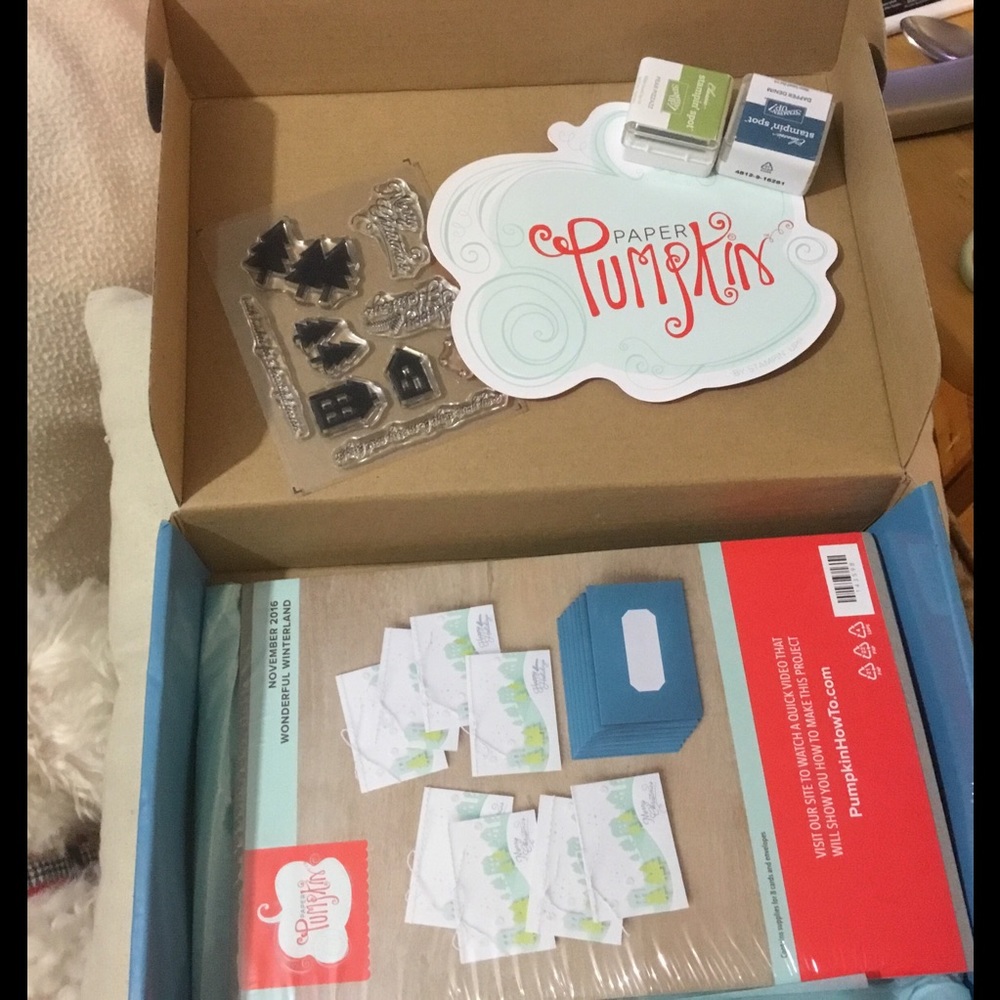 Stampin Up Paper Pumpkin kit for winter cards