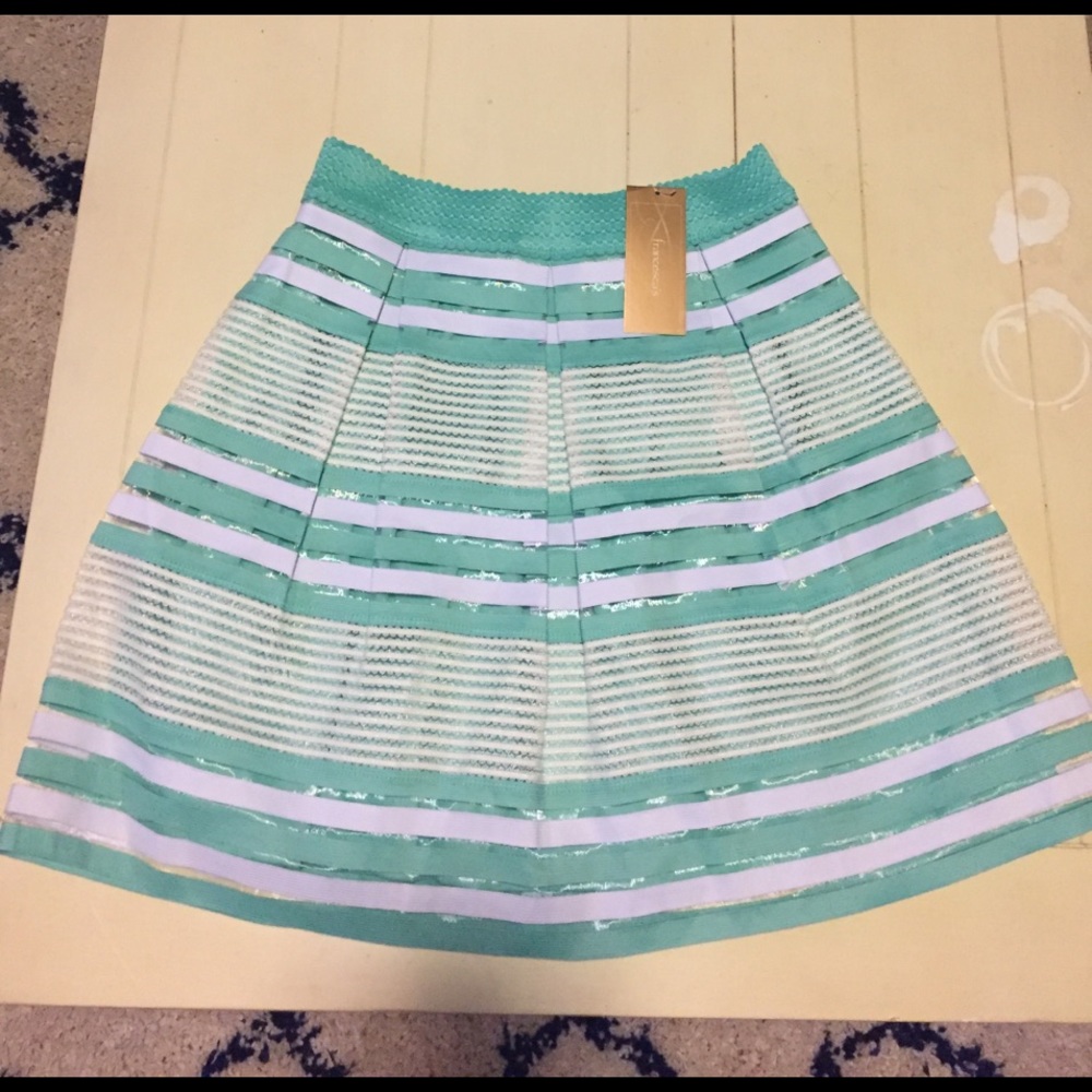 NWT Francesca's teal stripped skirt