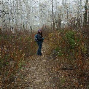 Meet your Posher, Veronica