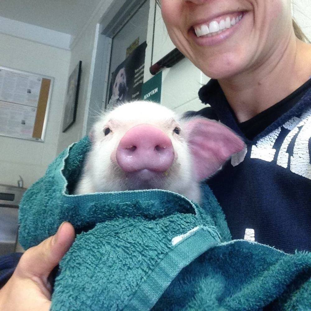 Meet your Posher, Dewey