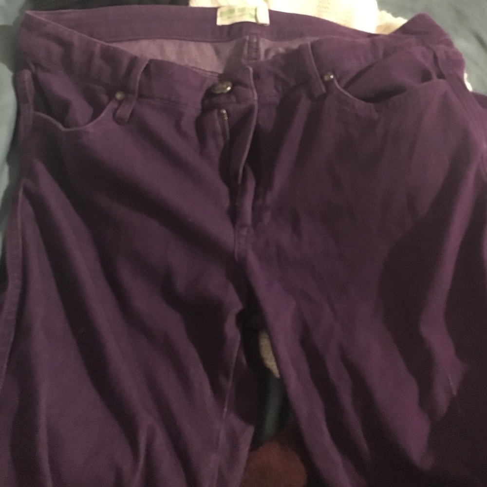 Purple Jeggings