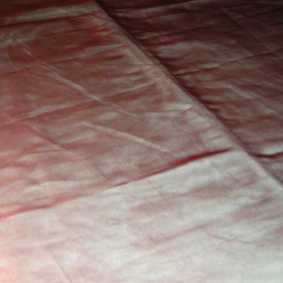 Meet your Posher, Adriana - Picture 1 of 1