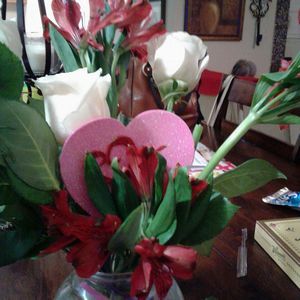 Meet your Posher, Lupe