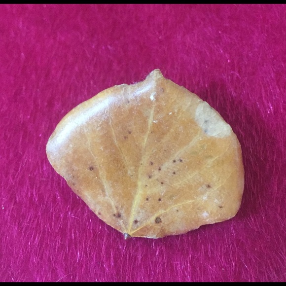 Vintage Jewelry - Vintage Leaf pin