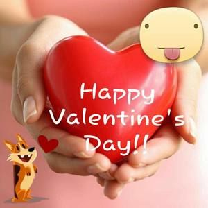 Meet your Posher, Teresa-terri