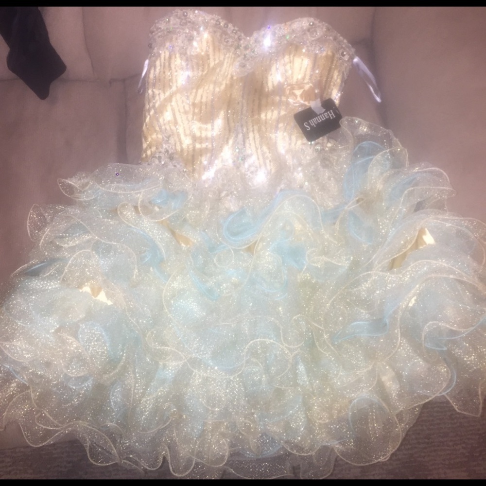 Hannah S dress never worn new with tags size 12