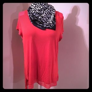 曆The Limited Sheer Hem Top曆 曆The Limited Sheer Hem Top曆